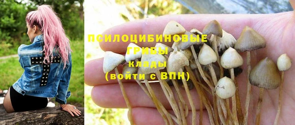 хмурый Волоколамск