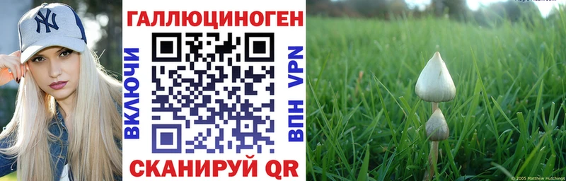 Галлюциногенные грибы прущие грибы  Купить закладки  Лангепас 